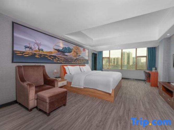 1 Bedroom Suite
