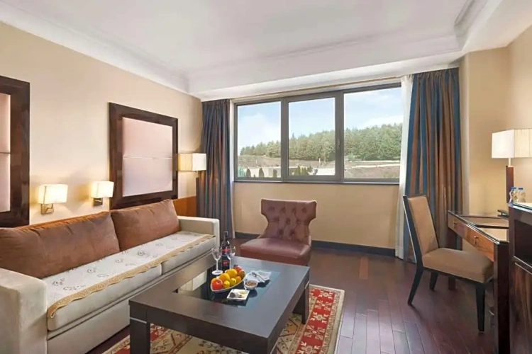 Executive Double Suite