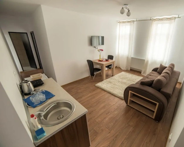1 Bedroom Apartment with city view