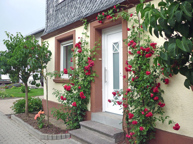 Holiday Home Haus Irmgard