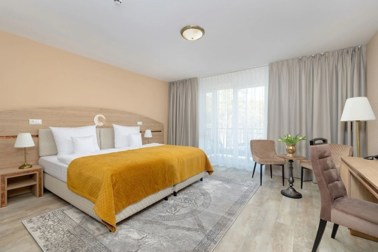 Superior Double room with balcony and with garden view