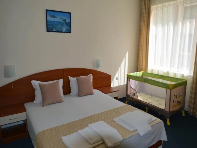 1 Bedroom Suite