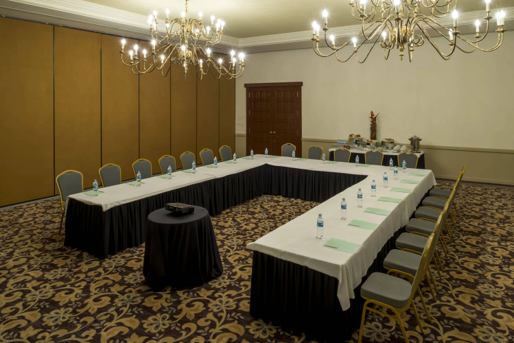 HS HOTSSON Hotel Tampico photo 22