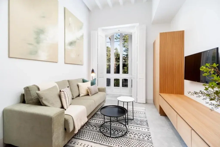 Superior Apartment with view