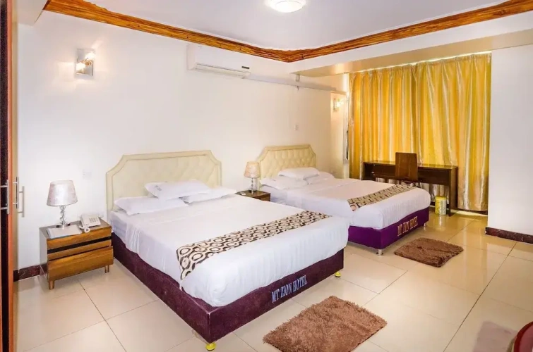 Deluxe Twin room with city view