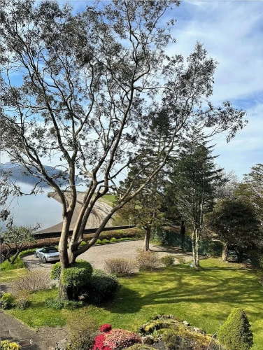 Deluxe Double room with garden view