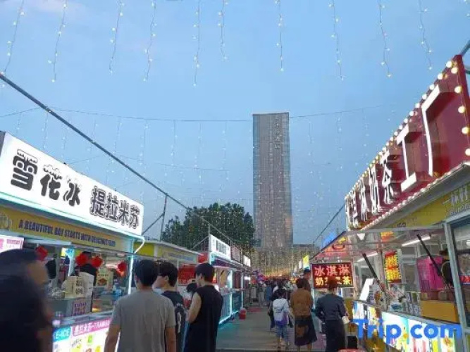 City apartments
