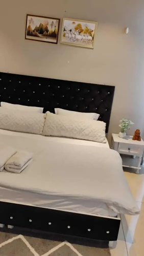 The luxury apartments
