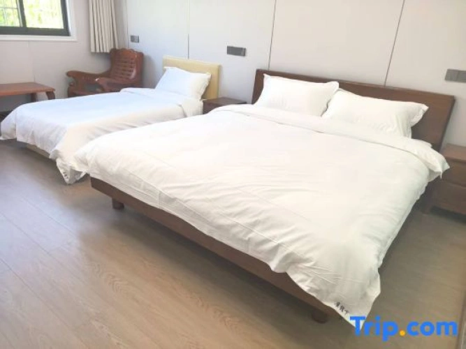 Standard Twin Family room