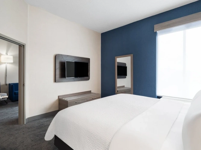 1 Bedroom Suite