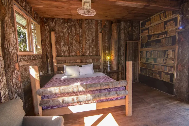 Hostel Bambu Gran Palas and Cenote