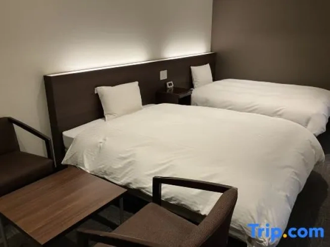 Standard Twin room with city view