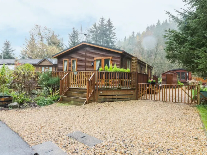 Pine Tree Lodge