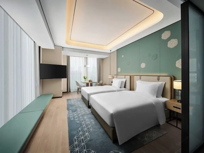 Deluxe Twin room with city view