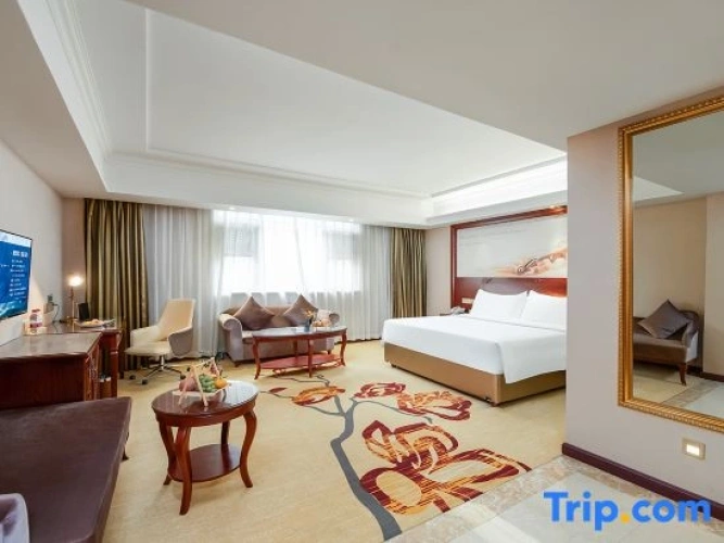 Standard Twin Family room