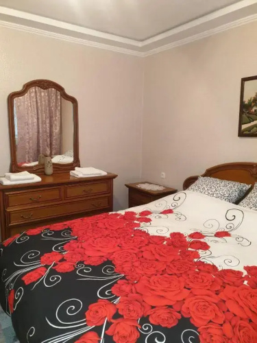 Alin Apartament