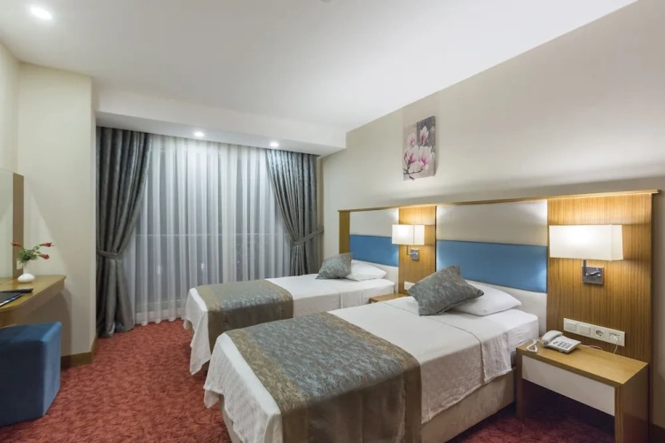 Standard Twin room with balcony and with sea view