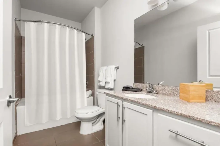 1 Bedroom Apartment