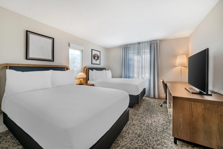 2 Bedrooms Sextuple Suite