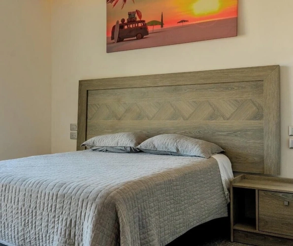 Luxury Apartment