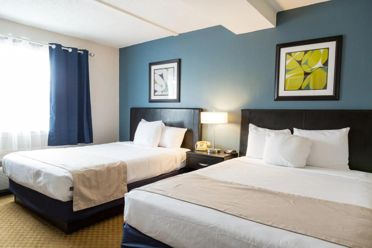 Quality Inn & Suites Auburn I-95