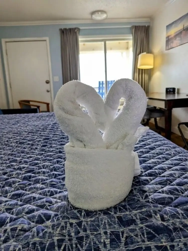Standard Double room with balcony and oceanfront