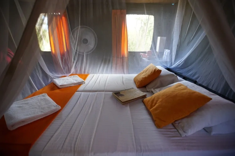 Tent