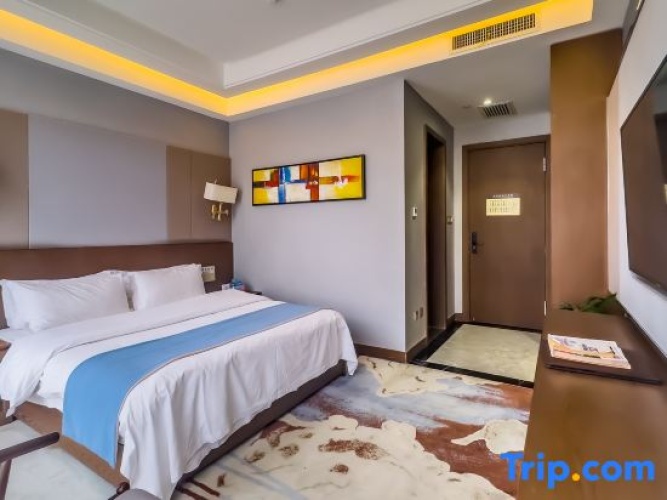 Standard Single room with view