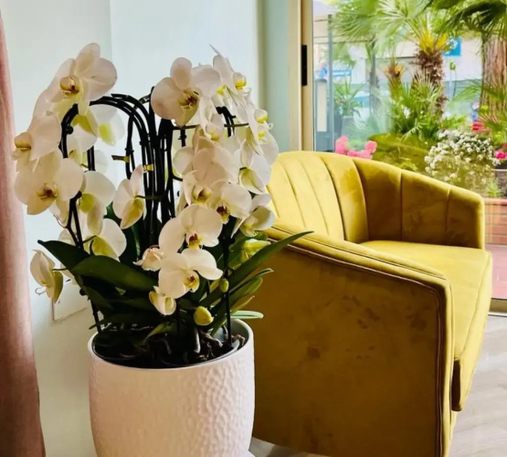 Aura Living Hotel