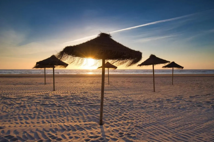 Huis Zeeduin Amsterdam Beach