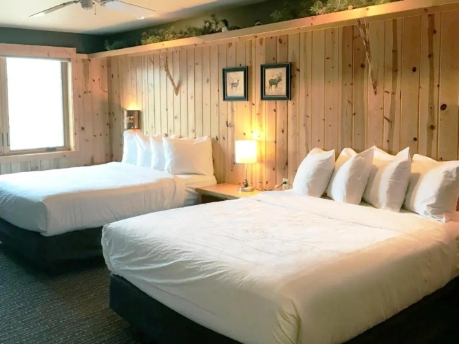 Standard Double room