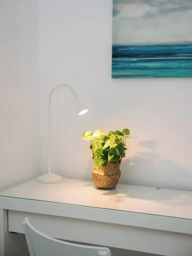 Double Apartment