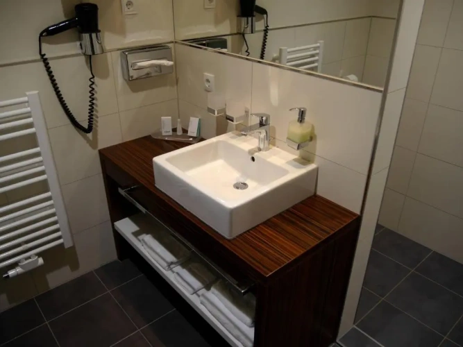 Business Double room
