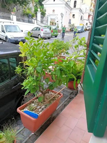 A Pastaiola