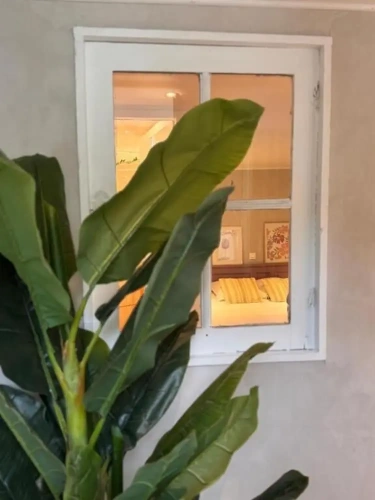 Standard Double room with garden view