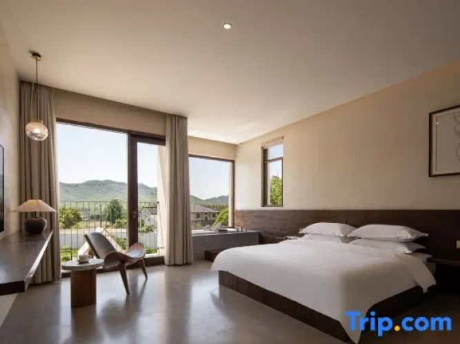 Standard Double room with mountain view