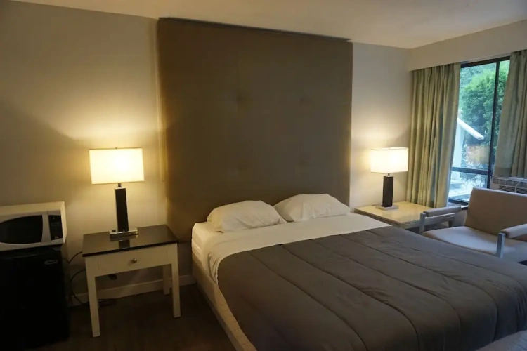 Deluxe Single room