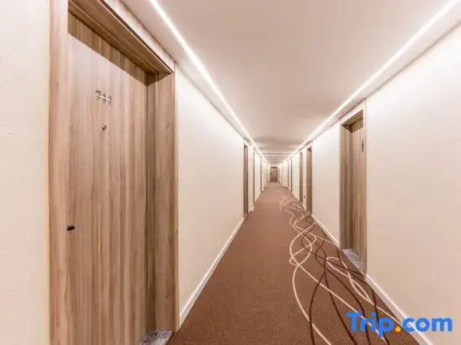 HanTing Hotel (Anqing Susong)