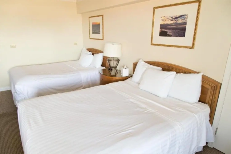 Deluxe Double room with view