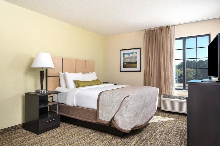 1 Bedroom Suite