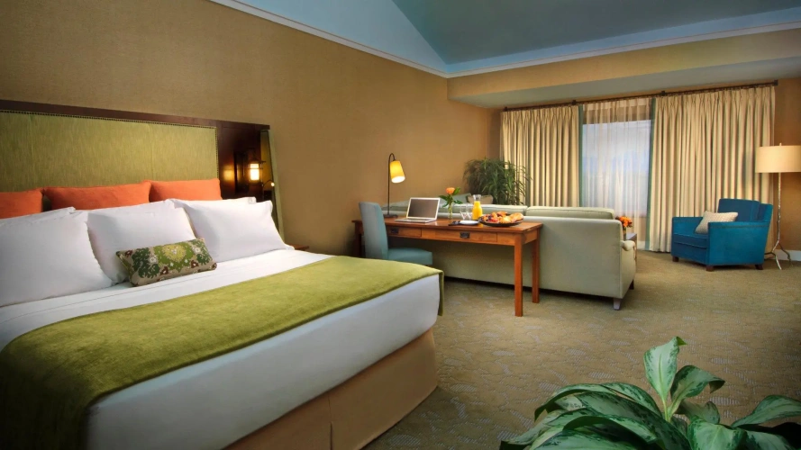 Premium Double Club room