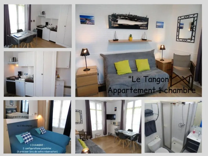 1 Bedroom Apartment