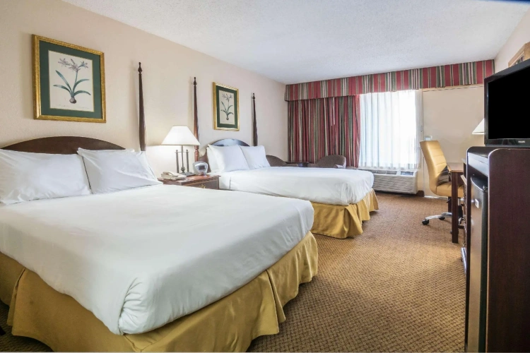 Standard Quadruple room
