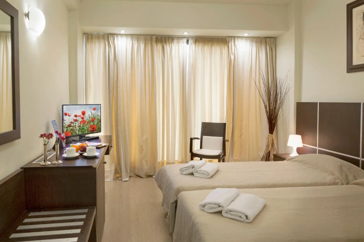 Standard Twin room