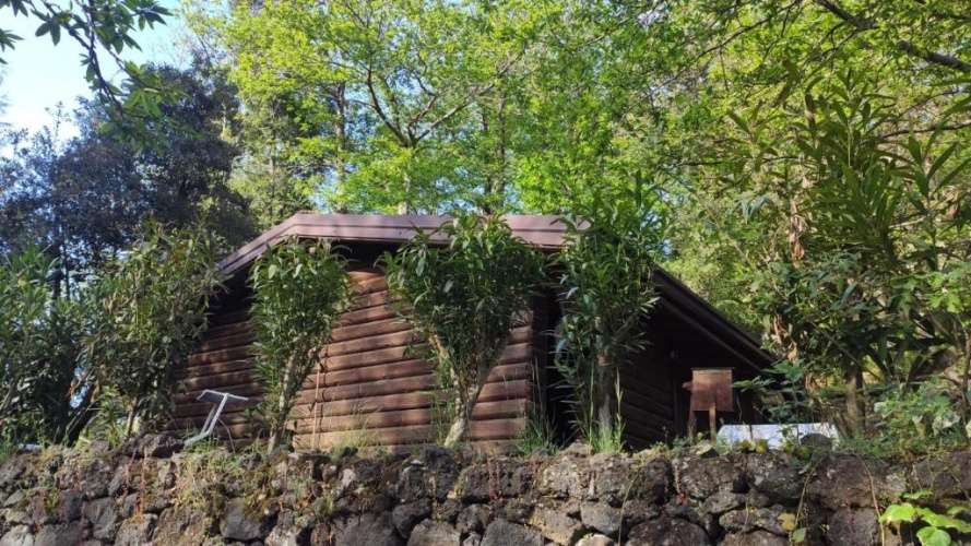 1 Bedroom Chalet