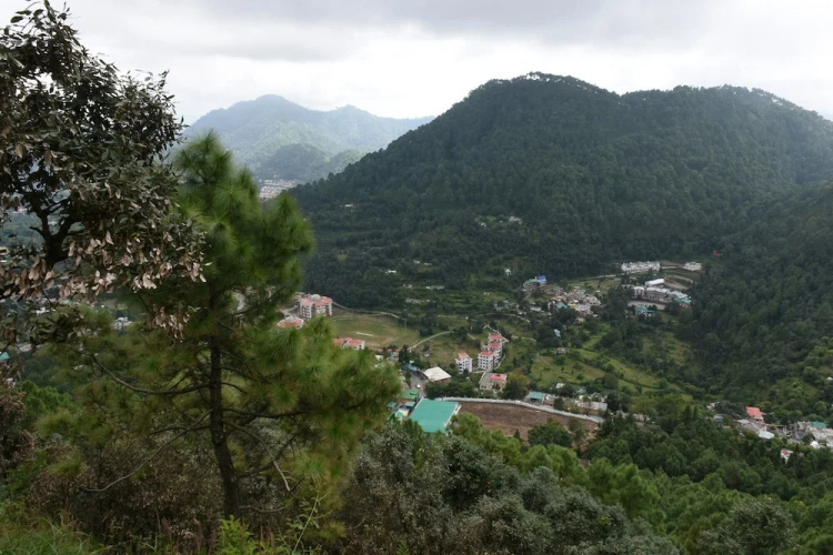 The Moksha Heights