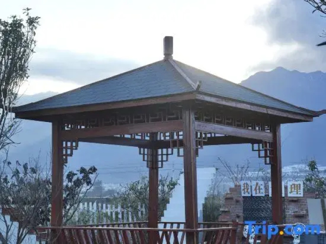 Dali Mini Designer Influencer Garden Homestay