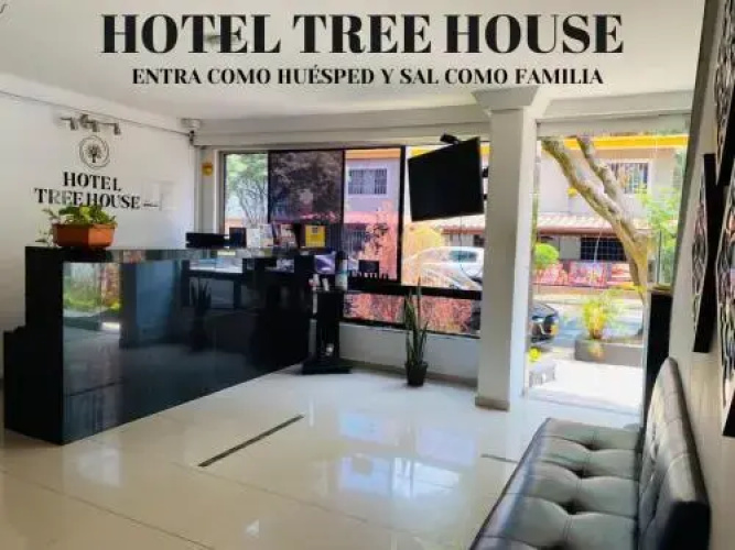 Ayenda Tree House