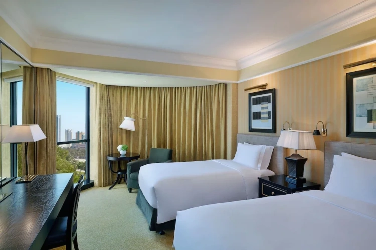 Deluxe Twin room with city view
