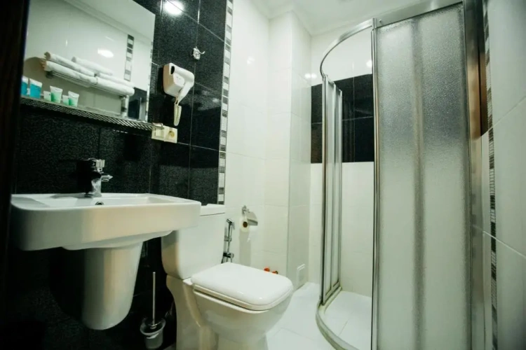 Standard Single room with pool view